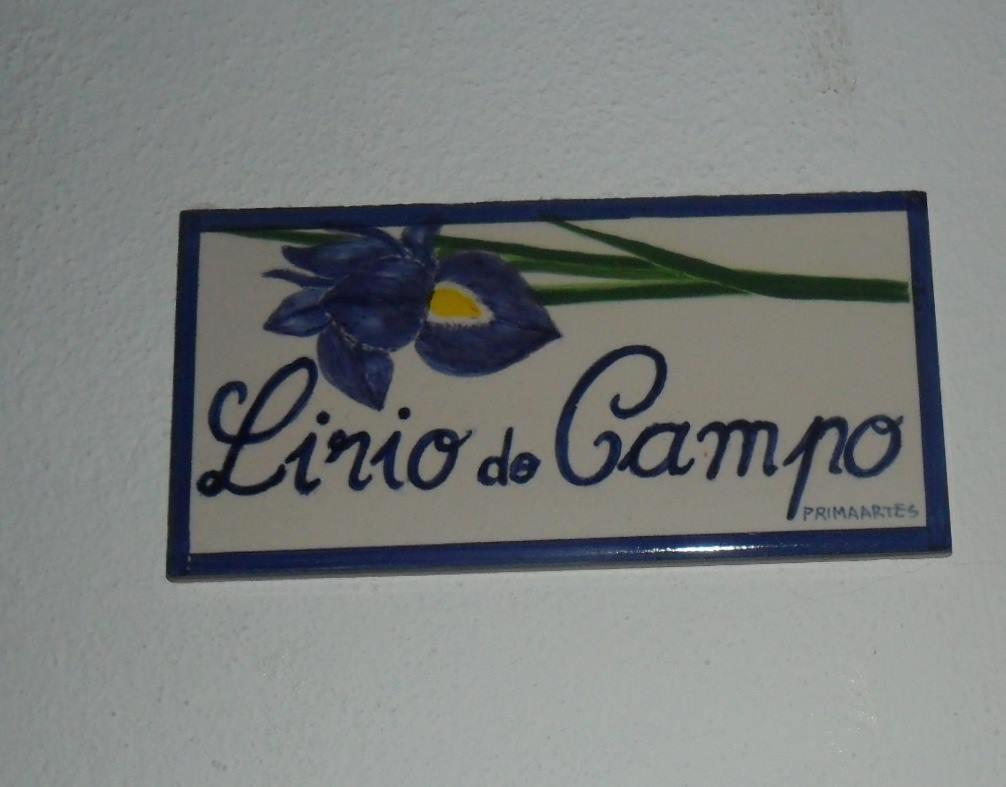 Apartamentos Bau-Doce Cercal do Alentejo エクステリア 写真