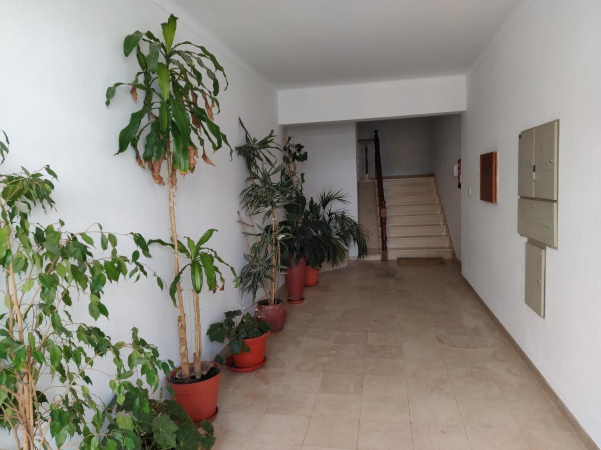Apartamentos Bau-Doce Cercal do Alentejo エクステリア 写真