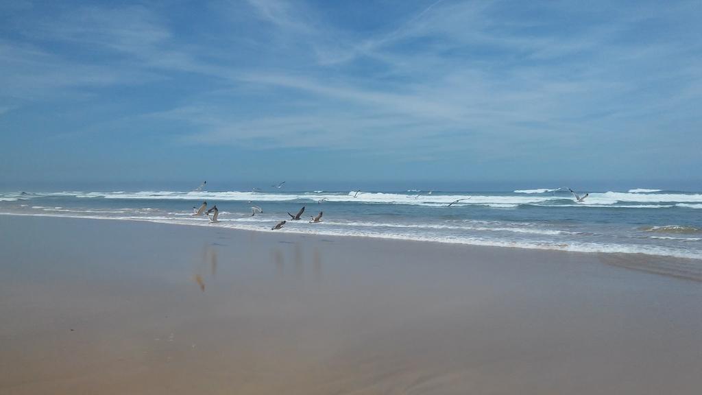 Apartamentos Bau-Doce Cercal do Alentejo 部屋 写真