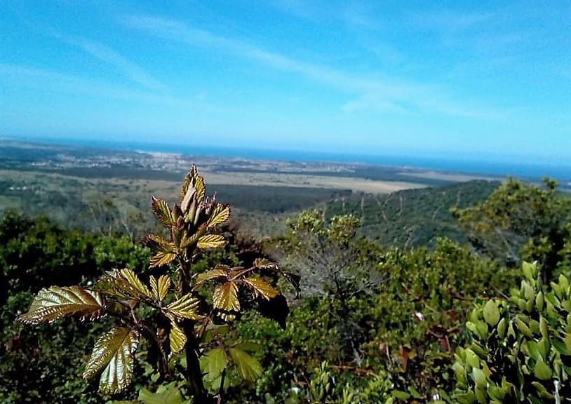 Apartamentos Bau-Doce Cercal do Alentejo エクステリア 写真